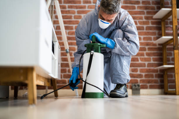 Best Pest Exclusion Services  in Ridgecrest, CA